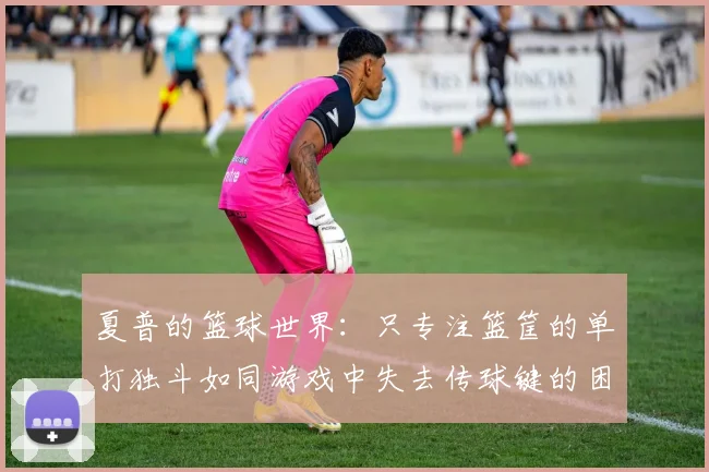 夏普的篮球世界：只专注篮筐的单打独斗如同游戏中失去传球键的困境